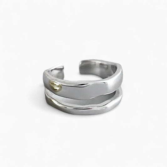 Doppelter Ring Silber